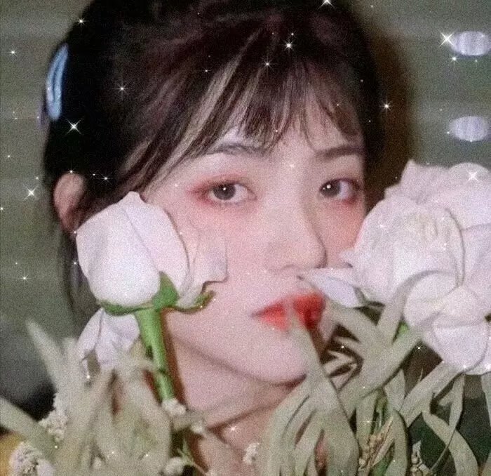 无与伦比的美丽